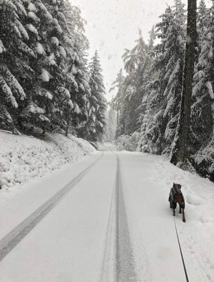 Chalet Crans-Montana 아파트 외부 사진